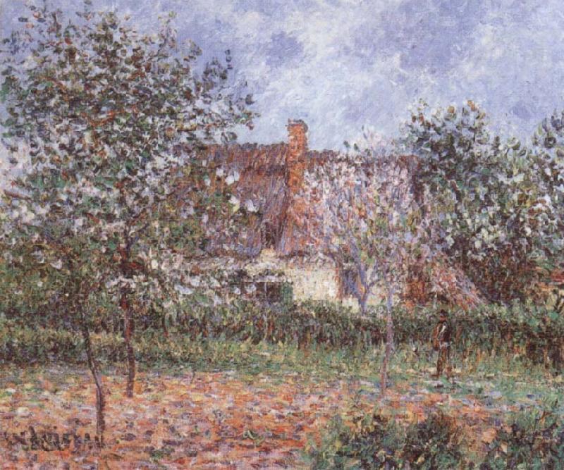 Gustave Loiseau Orchard in Spring oil painting picture